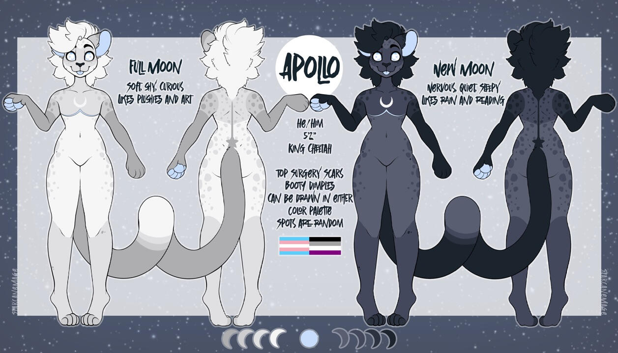 Apollo Ref